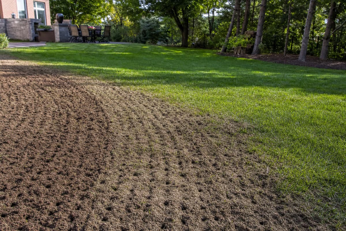 Premium Turf Care & Lawn Management