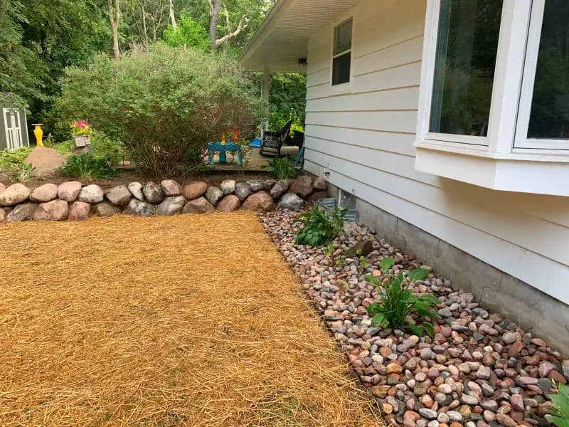 Fresh Lawn Seed & Clean Bed Prep