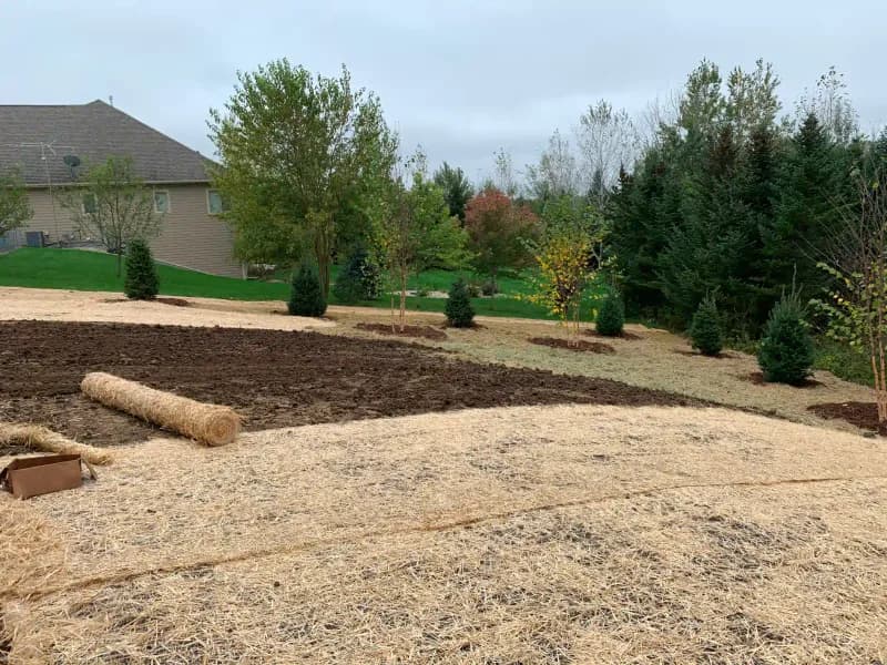 New construction seeding and tree installation