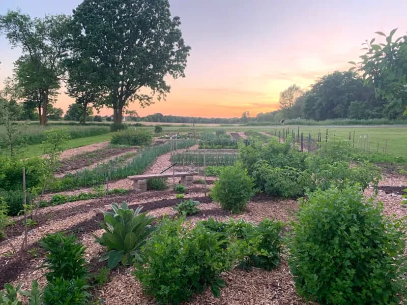 Large edible permaculture garden at sunset