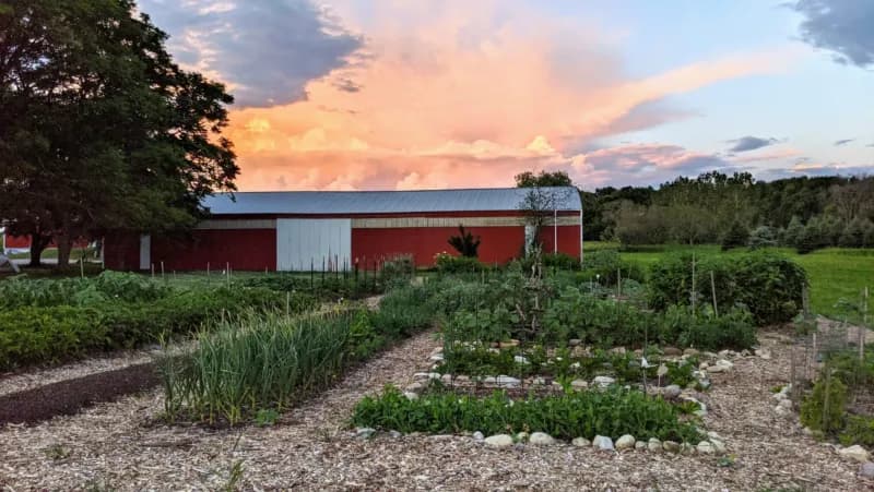Mature permaculture garden at dusk
