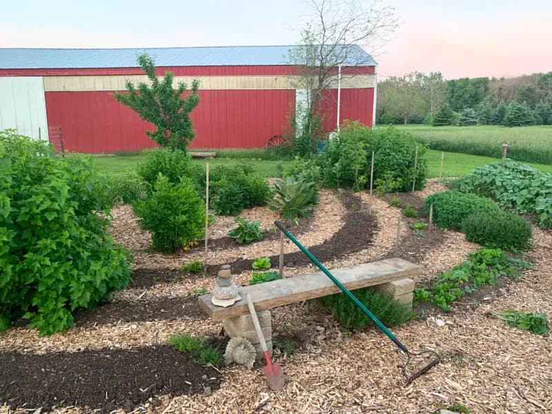 Mixed herb and vegetable garden with stone bench