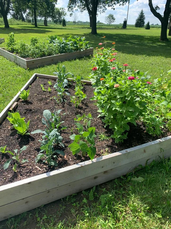 Cedar Raised Garden Beds