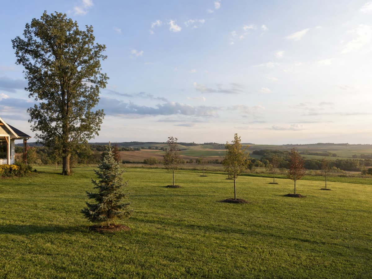 Little Tree Nursery landscaping work in Richfield, WI
